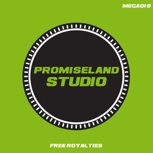 Promiseland Studio 128 (Tool 9)