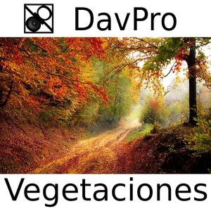 Vegetaciones