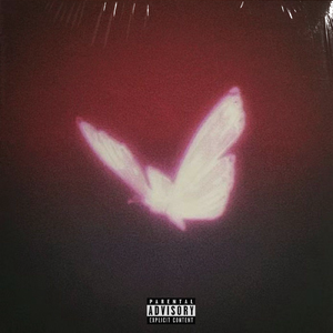 [FREE]Trap Type Beat-Emo Melody抒情旋律陷阱伴奏