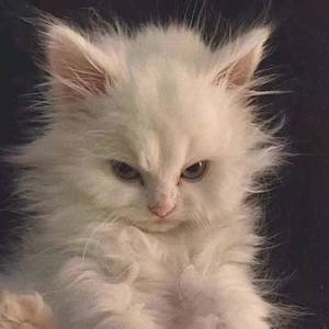 遇见你的时候所有星星都落到我头上