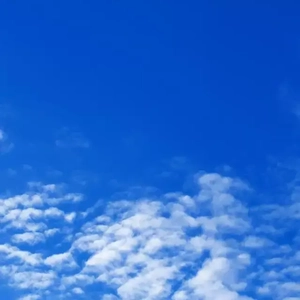 见到过 (4)