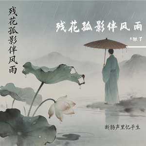 残花孤影伴风雨