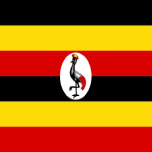 Bobi Wine (Studio composition )