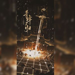 青锋不归——记剧版《庆余年》沈重