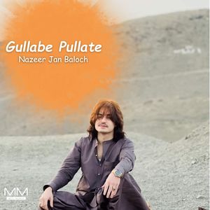 Gulle Darin Bime Shara