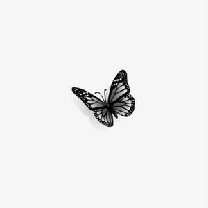 Butterflies <3