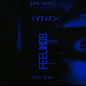 Feelings (Slow Down)