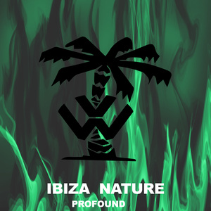 Voice Rave (Format Groove Dub Remix)