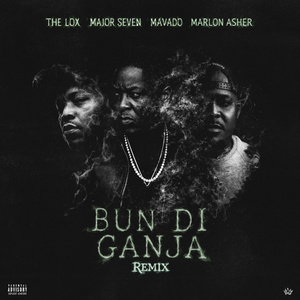 Bun Di Ganja (Remix)