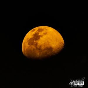 Fake Paradise (feat. Navosoundz)