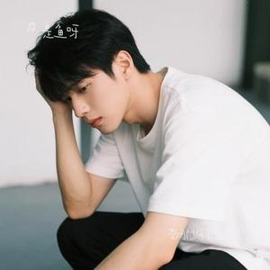 敬那少年未完的梦 (Cover 卡迪哥)