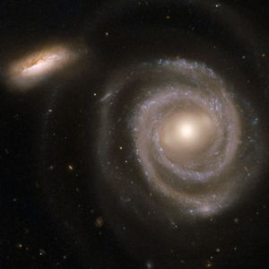 The Royalty Code (Edit)