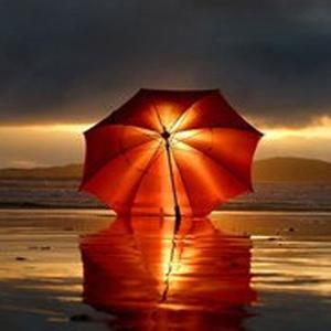 恋意不息爱意无休