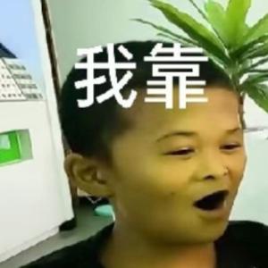 小马云之歌