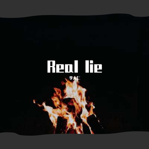 JD-Real lie(feat.NINEONE#)（李大仁 remix）
