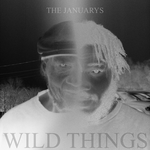 Wild Things