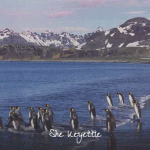 Corporate Product Launch