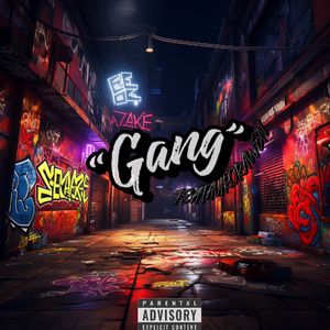 ”GANG GANG?“ Shit！// Prod By 9Zi