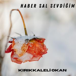 Haber Sal Sevdiğim