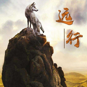 戒掉不想你 (DJ热播版)