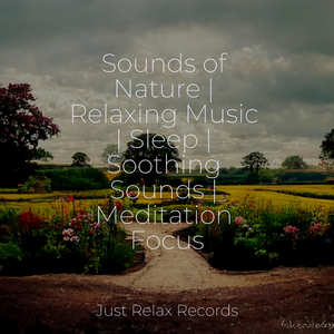 Echoes of a Solemn Song