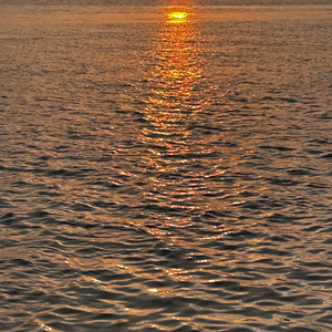 我啊，希望你听到这首曲子的时候仿佛被温暖的夕阳包裹