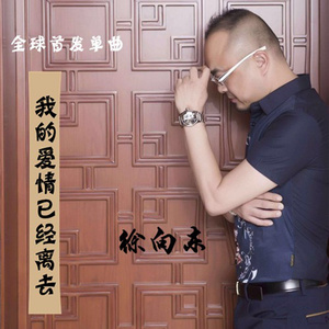 我的爱情已经离去