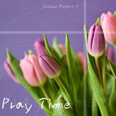 여호수아 20장 도피성