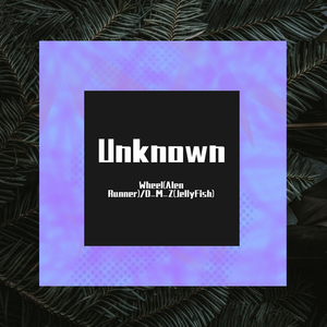 Unknown(Wheel Original Mix)