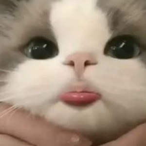 Bless The Booth Freestyle (sped up)