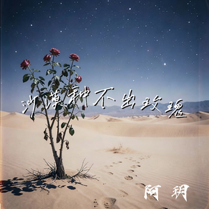沙漠种不出玫瑰