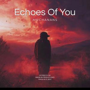 Echoes of you
