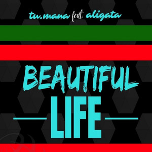 Beautiful Life (Remix)