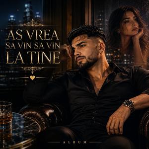 Aș vrea să vin, să vin la tine