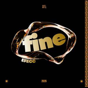 Fine