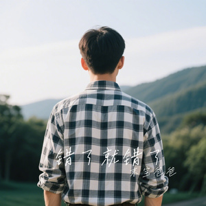 错了就错了