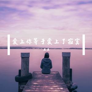 爱上你等于爱上了寂寞