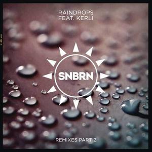 Raindrops (SCNDL Remix)