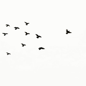 我会以何种方式遇见你