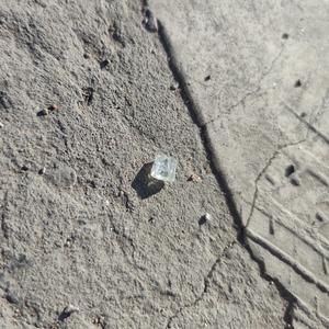 30岁的女生只想着玩儿(Demo)