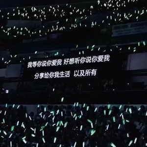 我不是你的宋东野