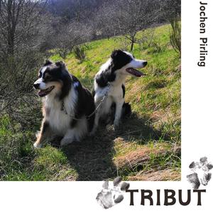 KUSSKUSS (solo piano version)