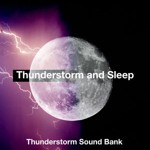 Heavy Rain Wild Lands