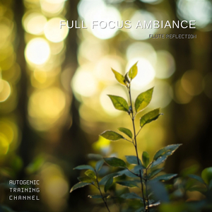 Waveform Frequency of 528 Hz: Wilderness Hiking