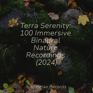 Boundless Vagabonding