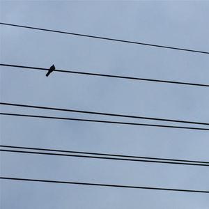 今天特别想念一个老朋友