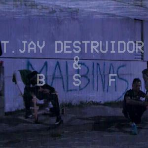 NOCTE (Á Noite) & BSF