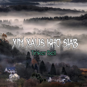 xim xaus kho siab (二胡曲混音版)