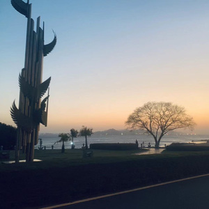 Electric Gypsy (Live)-Andy Timmons.wav