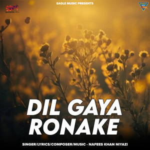 DIL GAYA RONAKE